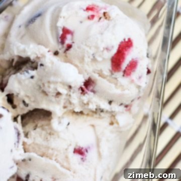 Crimson Chocolate Delight 7 Homemade Choc-O-Cherry Ice Cream ready to be scooped from an ice cream maker.