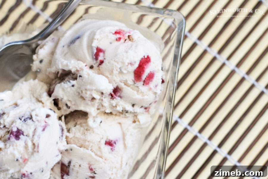 Crimson Chocolate Delight 2 Homemade frozen dessert recipes featuring chocolate and cherries, a perfect summer treat.