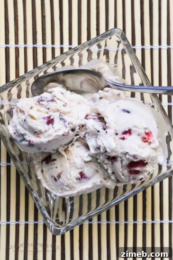 Crimson Chocolate Delight 3 A simple homemade ice cream recipe showcasing fresh cherries, ideal for cherry season.