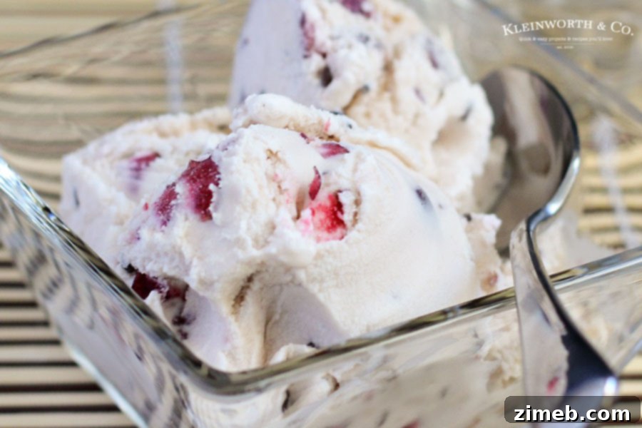Crimson Chocolate Delight 4 Rich chocolate cherry ice cream, loaded with fruit and chocolate, a decadent treat.