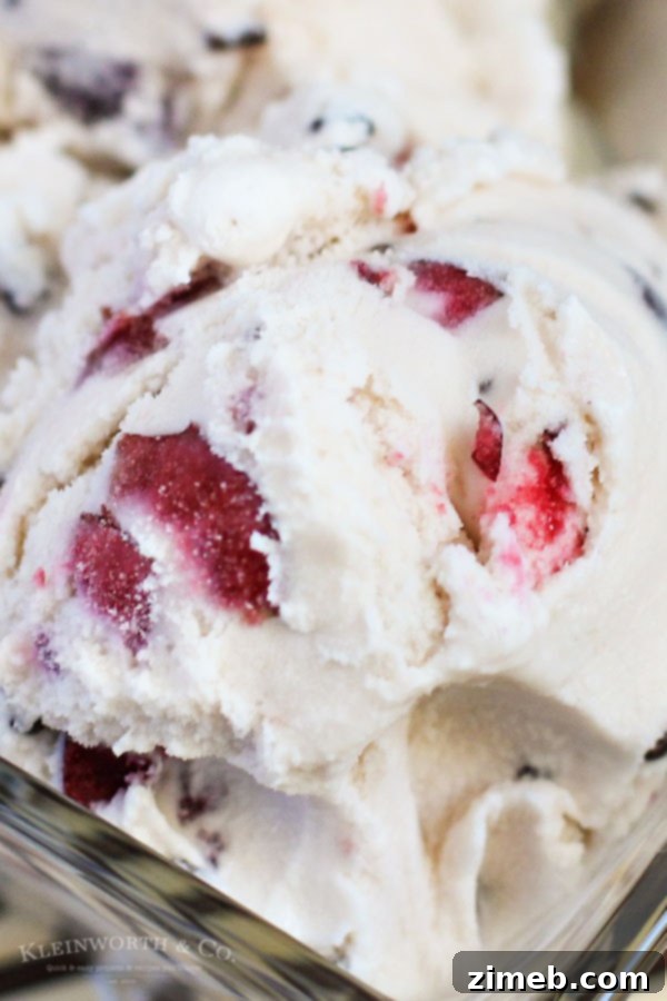 Crimson Chocolate Delight 5 Detailed instructions on how to make homemade ice cream with an ice cream maker.