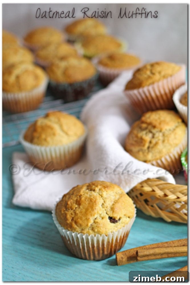 Wholesome Lactose-Free Oat and Raisin Muffins 2 Delicious and Healthy Oatmeal Raisin Muffins made with LACTAID for a lactose-free breakfast. They are golden brown and perfectly baked.