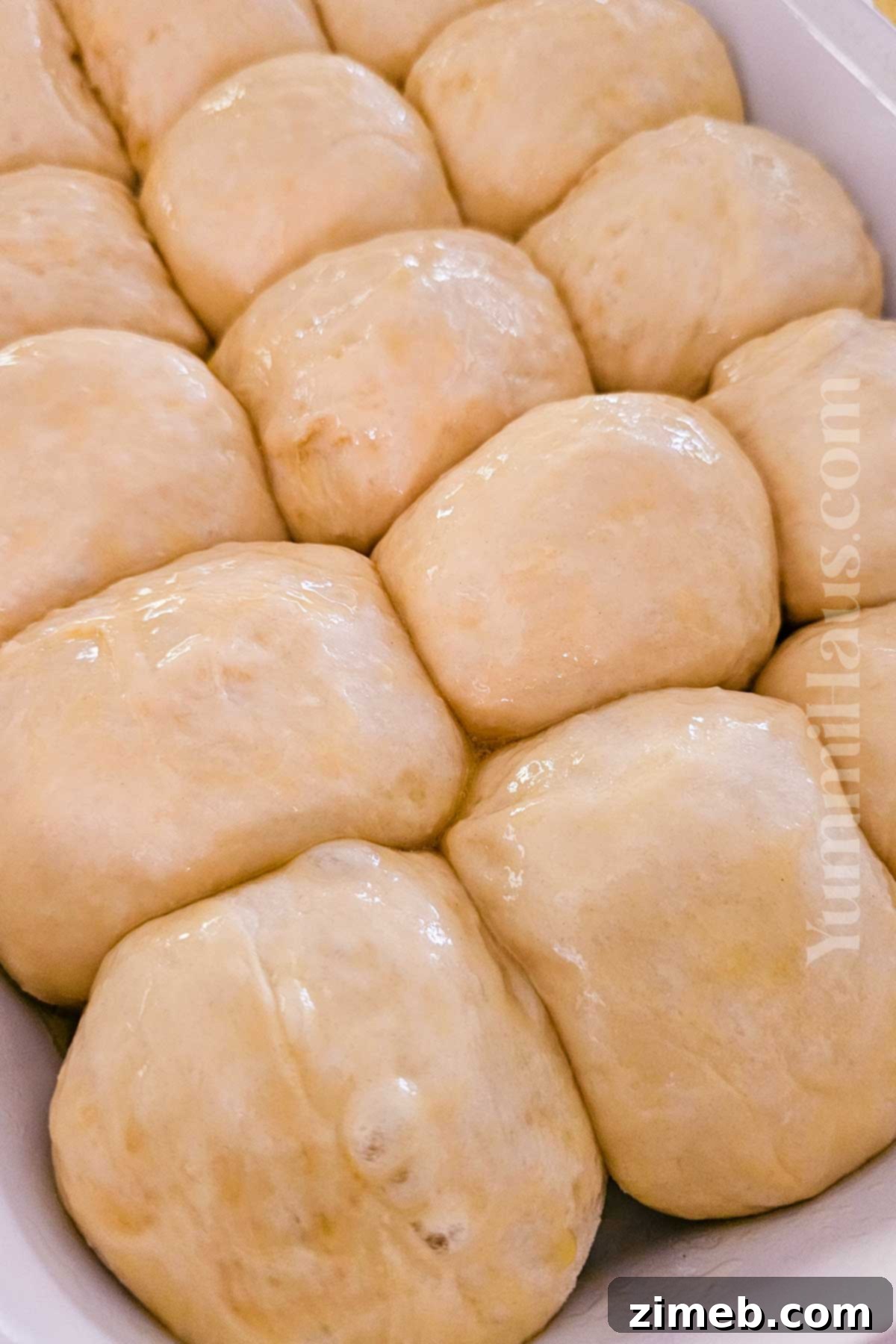 Sweet Hawaiian Buns 7 how to make Hawaiian Dinner Rolls with instructions