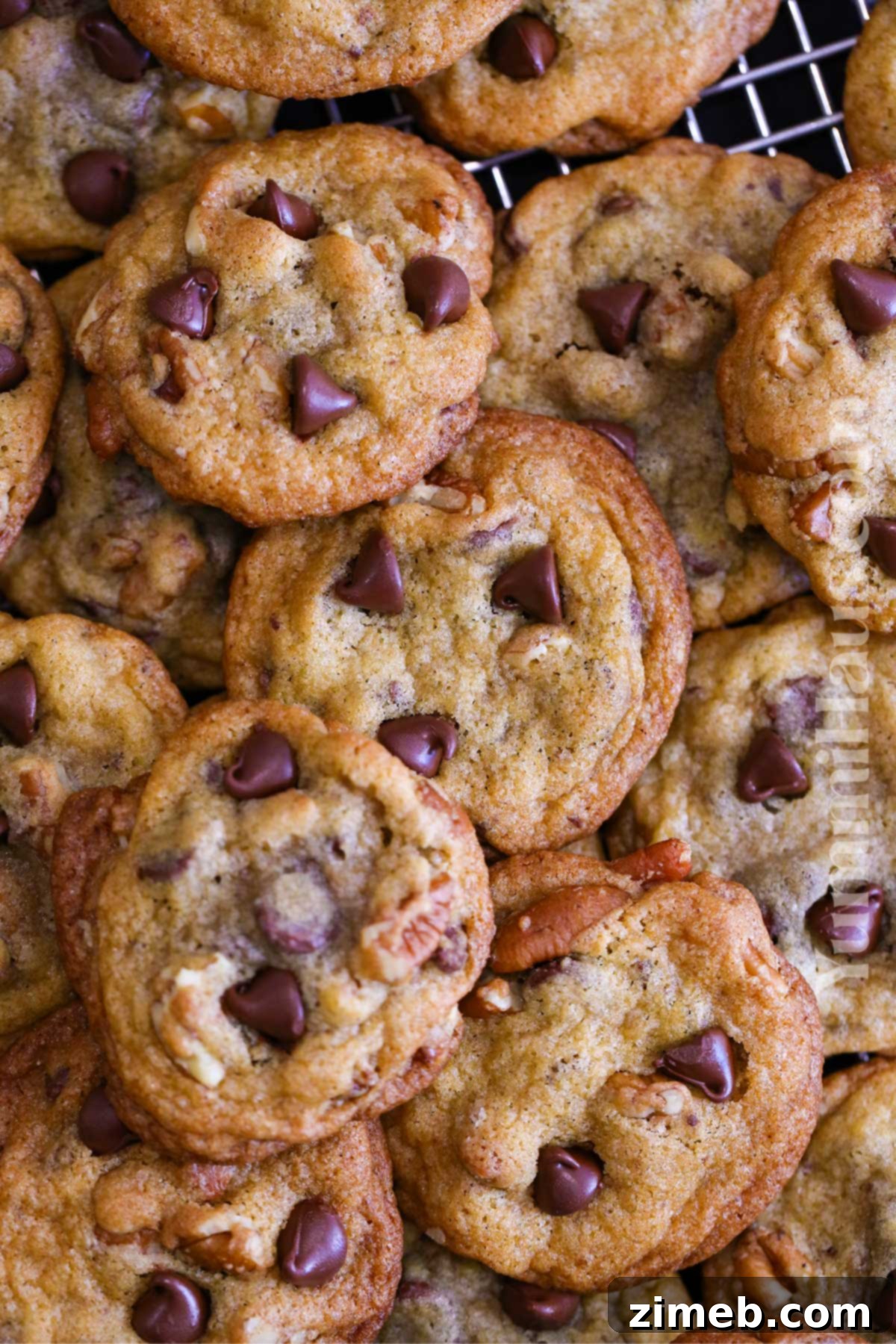 Toll House Signature Chocolate Chip 2 Nestle Toll House Recipe Chocolate Chip Cookies