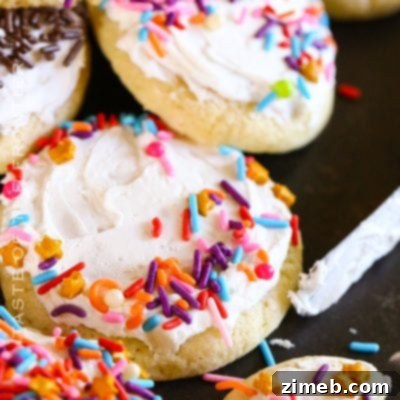 Toll House Signature Chocolate Chip 11 Sour Cream Cookies