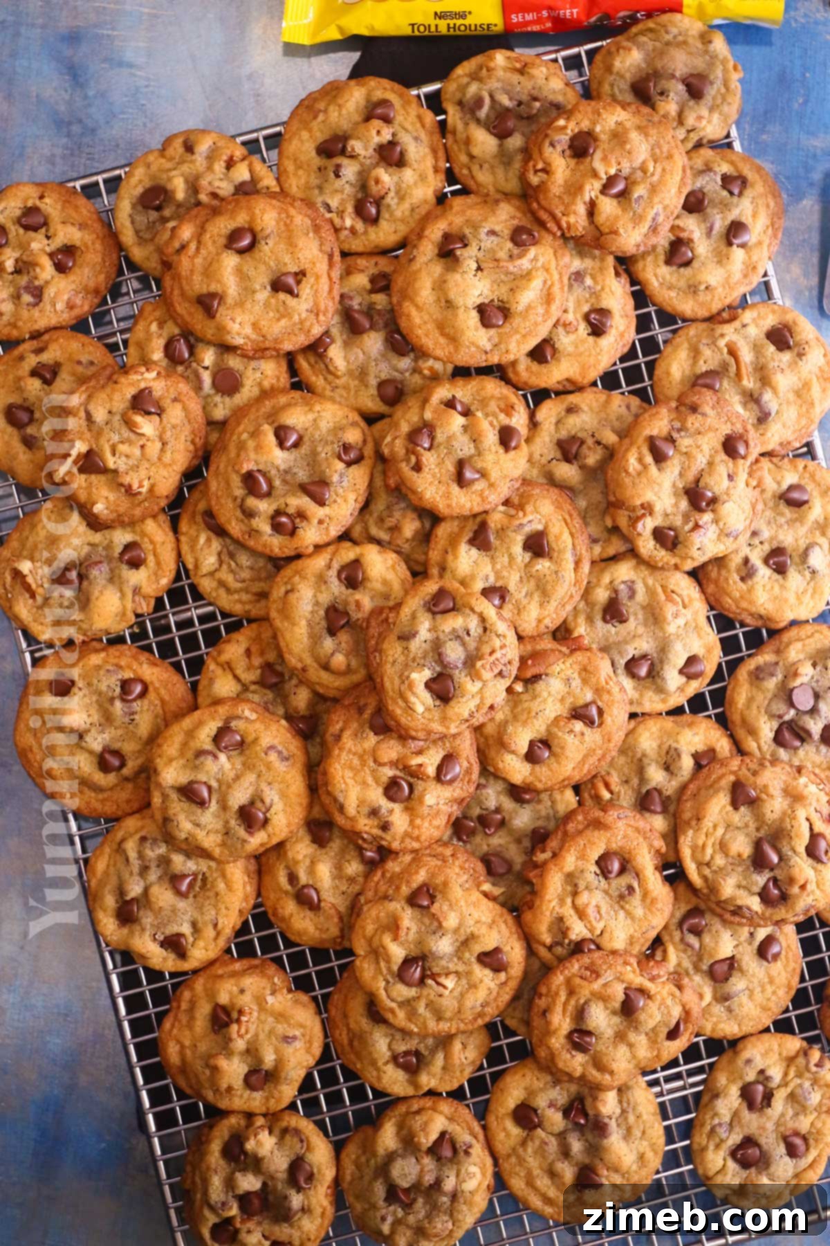 Toll House Signature Chocolate Chip 14 cookie dessert
