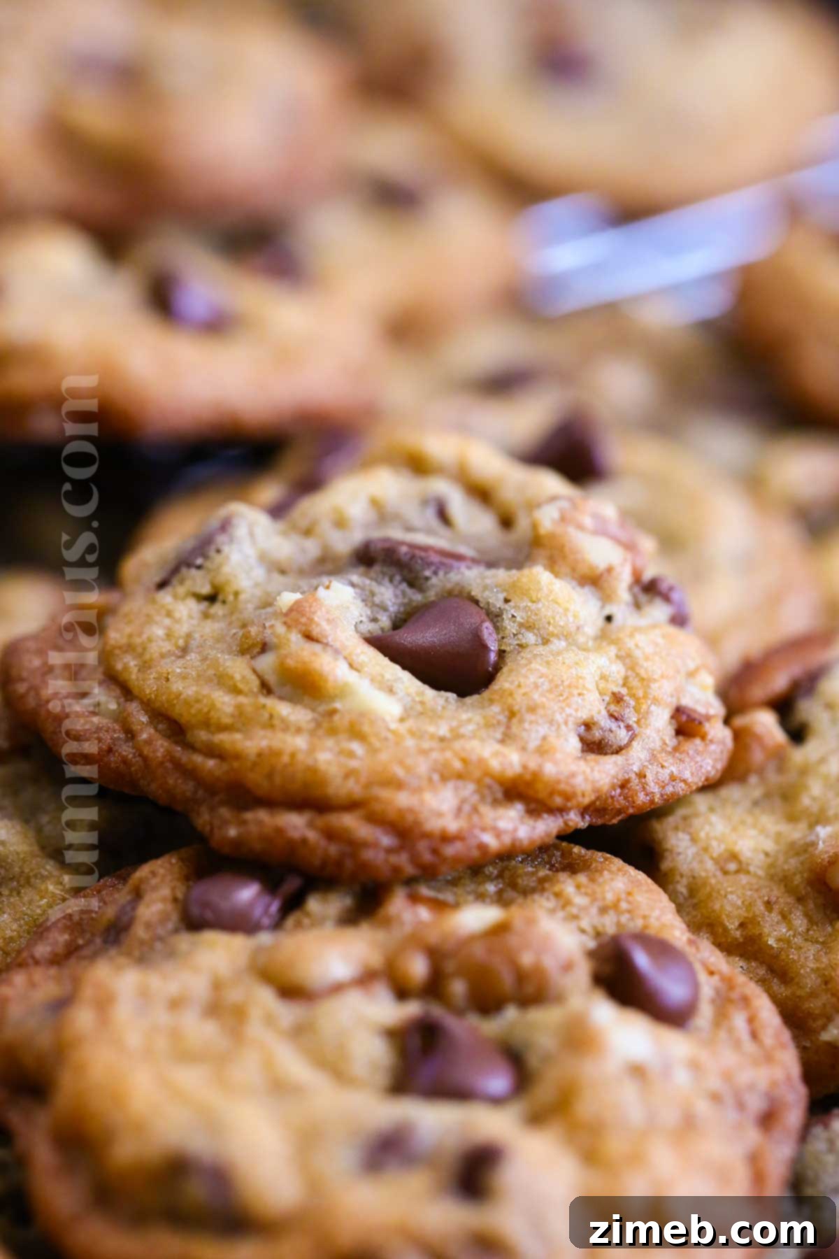Toll House Signature Chocolate Chip 15 easy chocolate chip cookies