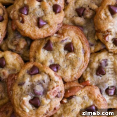 Nestle Toll House Recipe Chocolate Chip Cookies