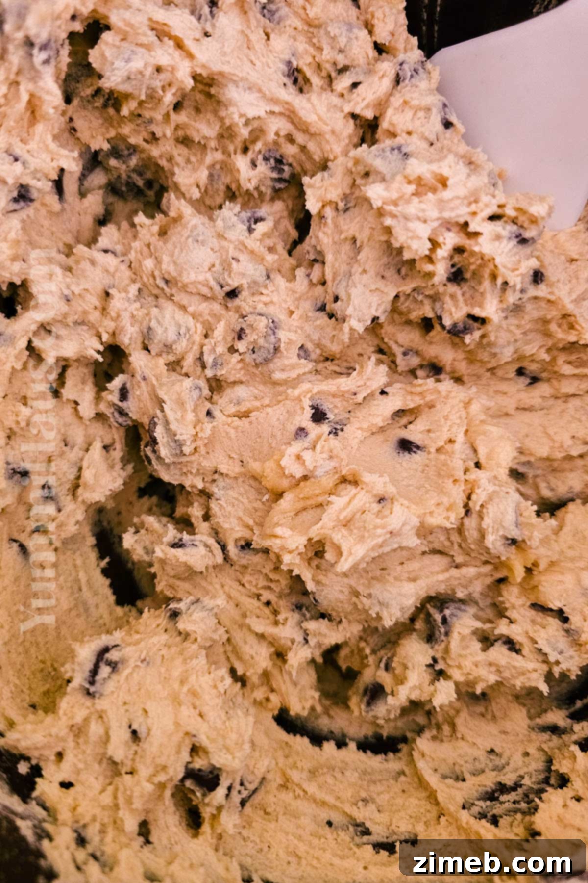 Toll House Signature Chocolate Chip 5 how to make Nestle Toll House Recipe Chocolate Chip Cookies