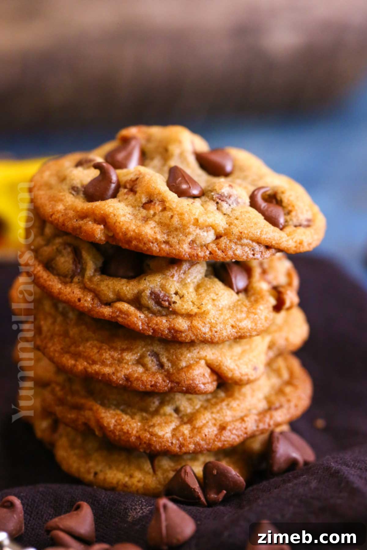 Toll House Signature Chocolate Chip 7 Nestle Toll House Cookies recipe