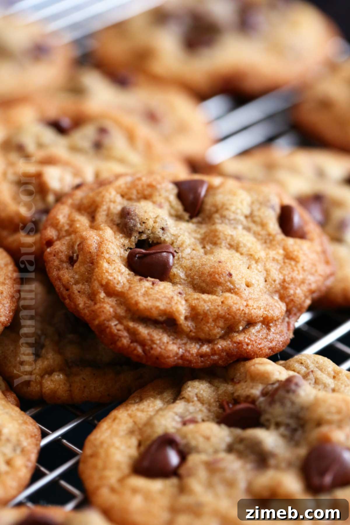 Toll House Signature Chocolate Chip 8 original recipe Toll House Cookies