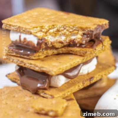 Air Fryer S'mores