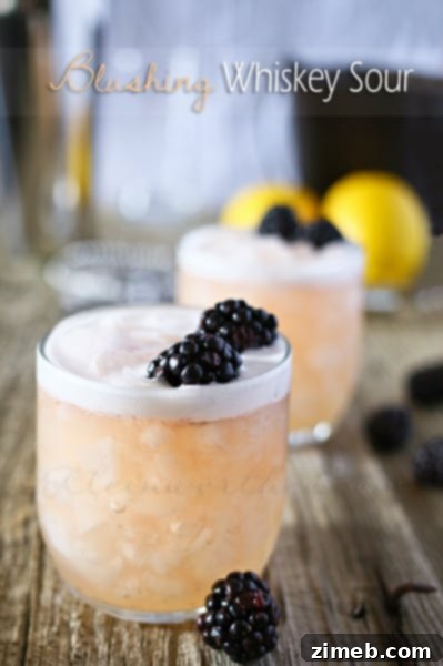 Blushing Whiskey Sour - a delicious twist on the classic cocktail.