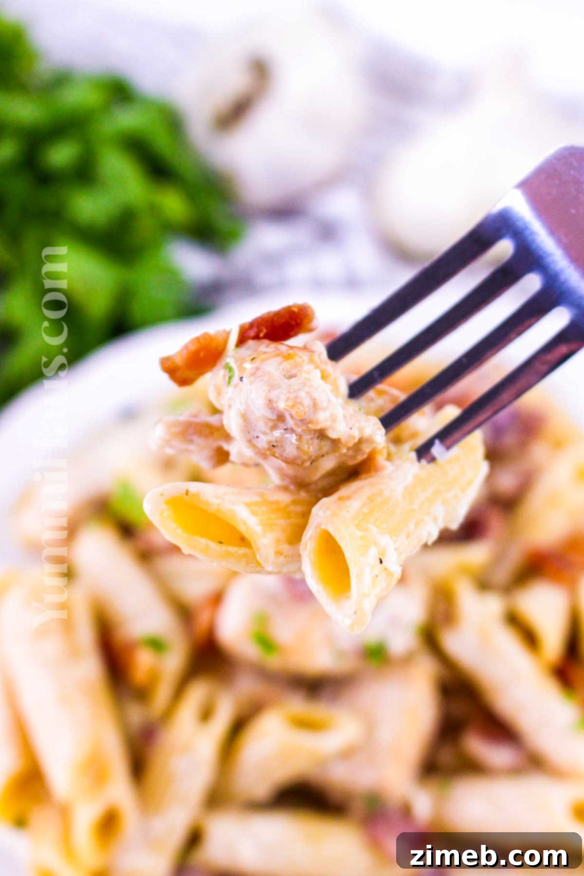 Creamy Chicken and Bacon Pasta 3 Delicious Chicken and Bacon Pasta recipe with creamy sauce