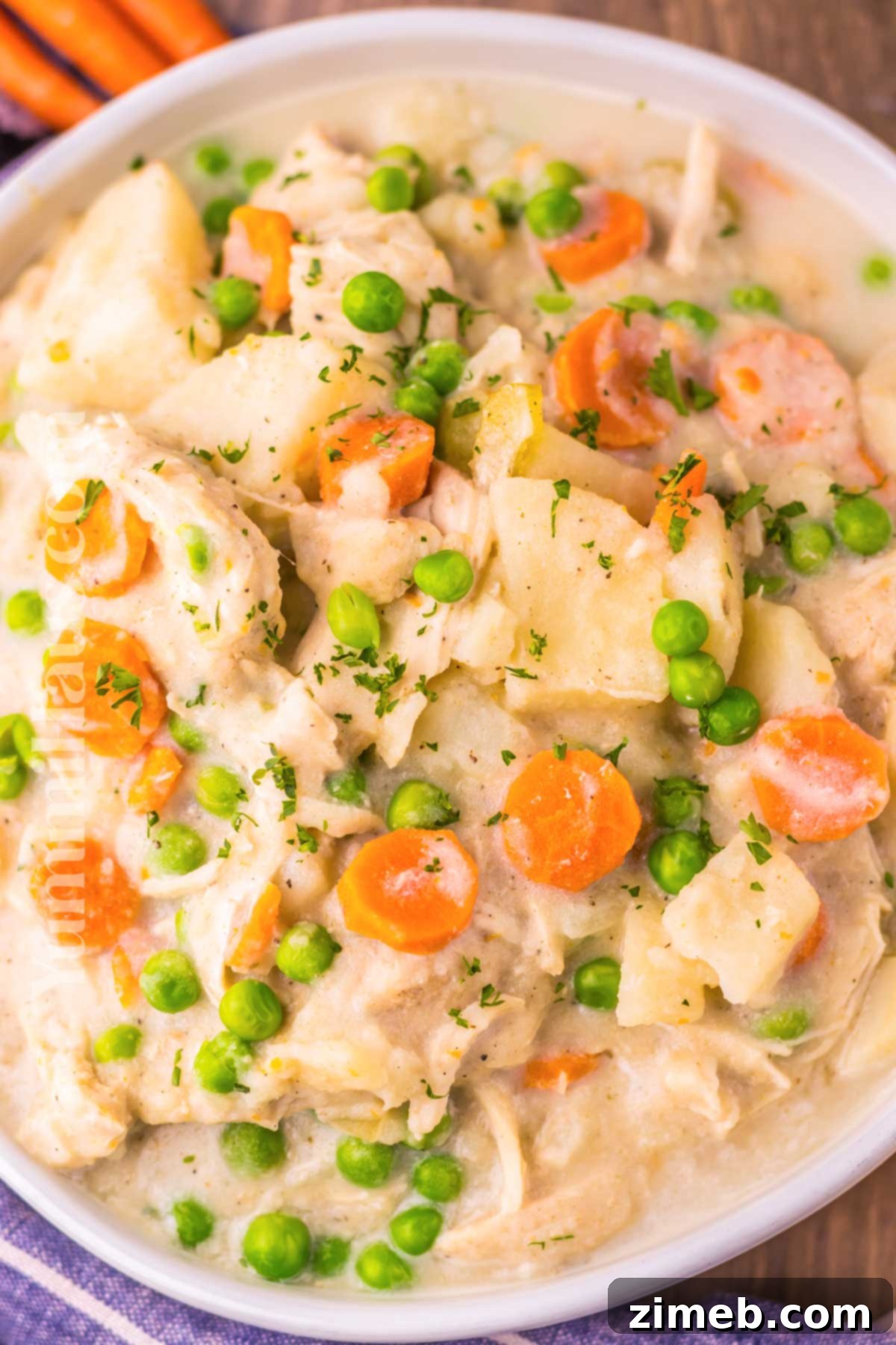 Comforting Slow Cooker Chicken Stew 2 Slow Cooker Chicken Stew