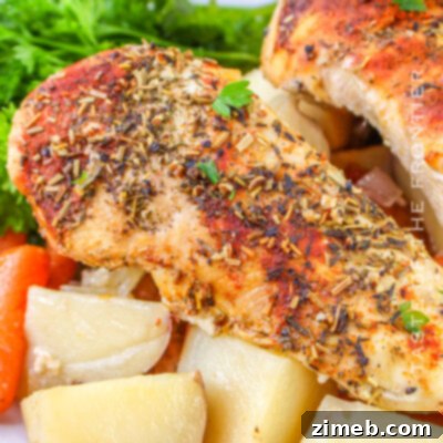 Comforting Slow Cooker Chicken Stew 12 Chicken and Potatoes in a Slow Cooker