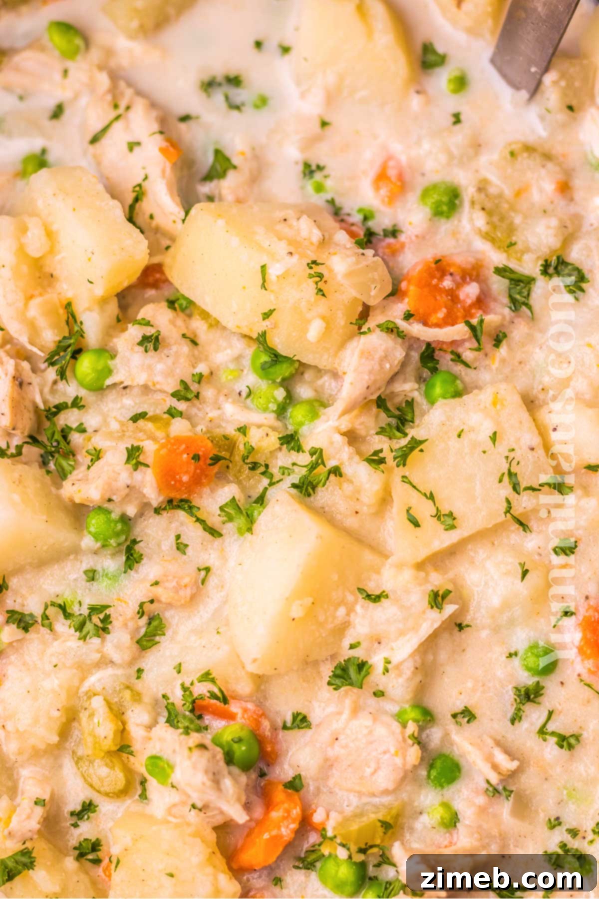 Comforting Slow Cooker Chicken Stew 14 savory chicken dinner in the crockpot