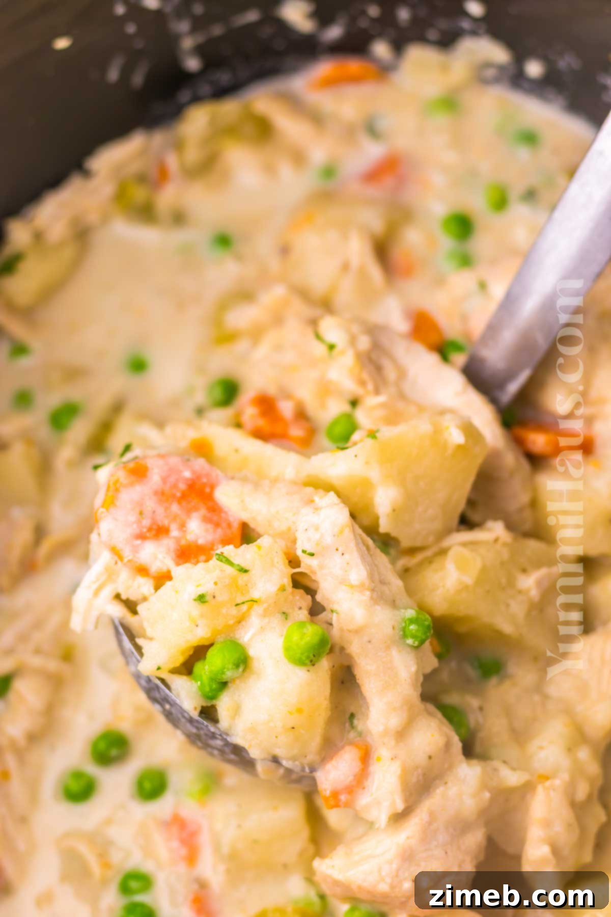 Comforting Slow Cooker Chicken Stew 15 Slow Cooker Chicken Stew recipe