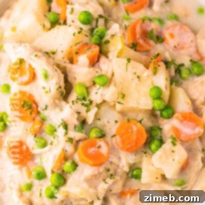 Comforting Slow Cooker Chicken Stew 16 Slow Cooker Chicken Stew