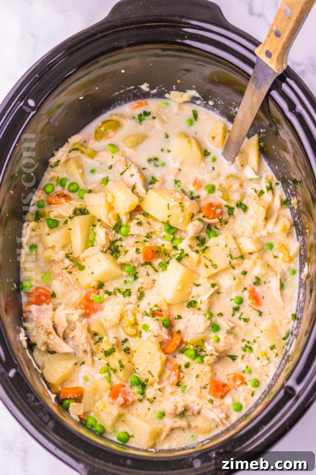 Comforting Slow Cooker Chicken Stew 3 Crockpot Chicken Stew