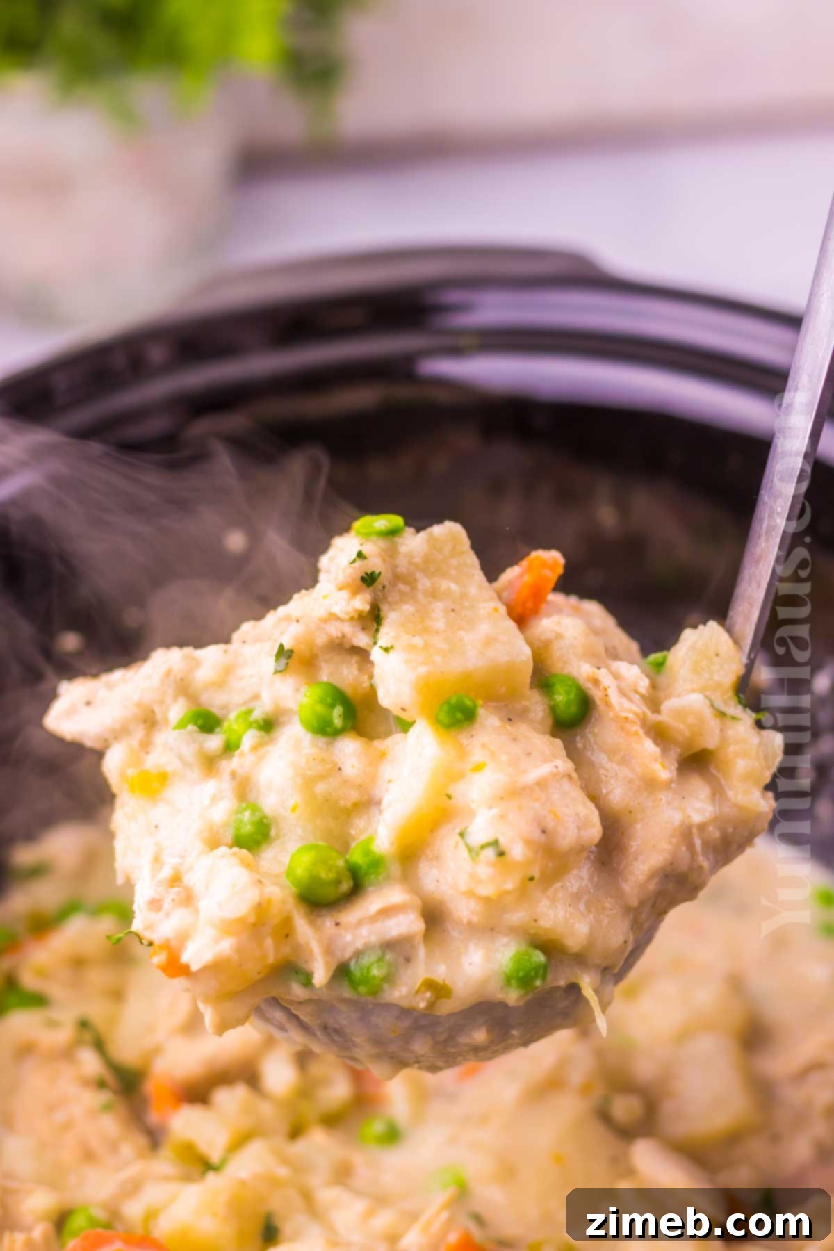 Comforting Slow Cooker Chicken Stew 7 chicken dinner in the slow cooker