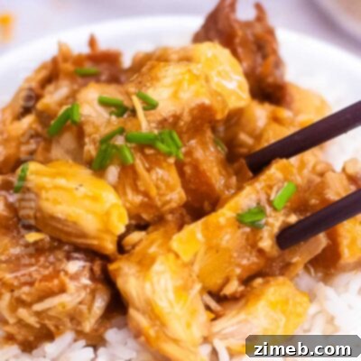Zesty Orange Slow Cooker Chicken 16 Slow Cooker Orange Chicken