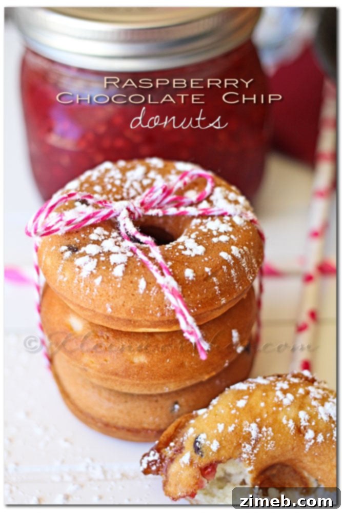 Two hands holding a fresh Raspberry Chocolate Chip Donut, ready to be eaten.