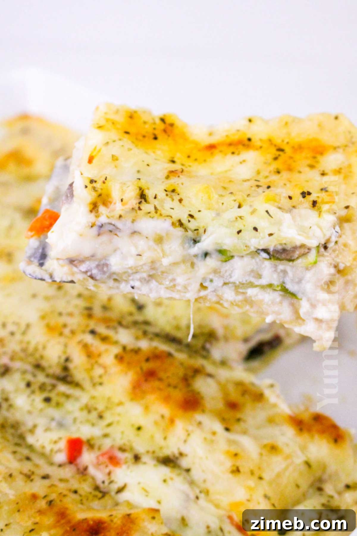 Creamy Vegetable Lasagna 2 Vegetable Lasagna in White Sauce