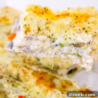 Creamy Vegetable Lasagna 15 Vegetable Lasagna in White Sauce