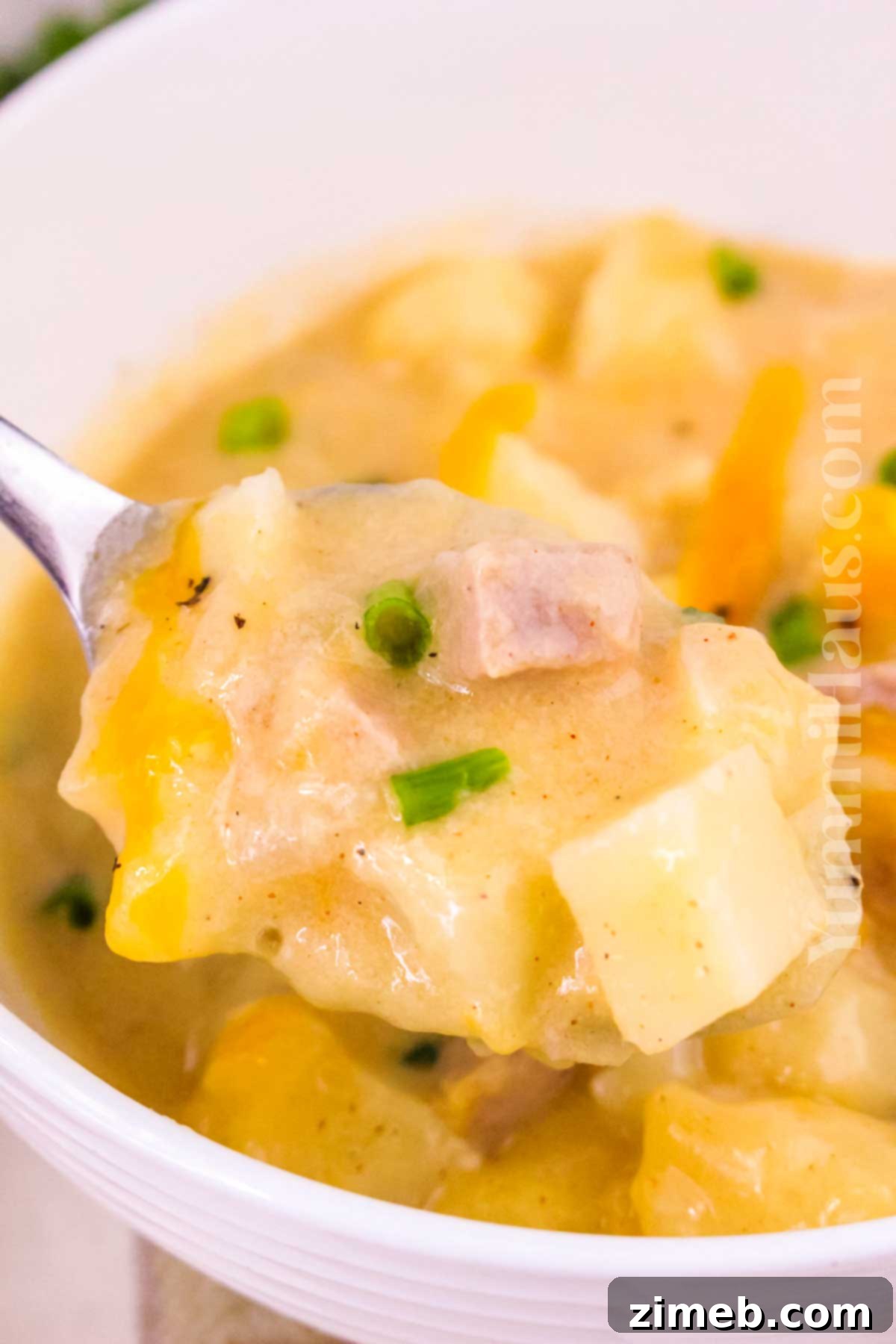 Hearty Ham and Potato Cheese Chowder 15 recipe for Cheesy Ham and Potato Soup