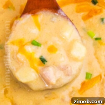 Hearty Ham and Potato Cheese Chowder 16 A comforting bowl of Cheesy Ham and Potato Soup, garnished with green onions and a sprinkle of cheese.