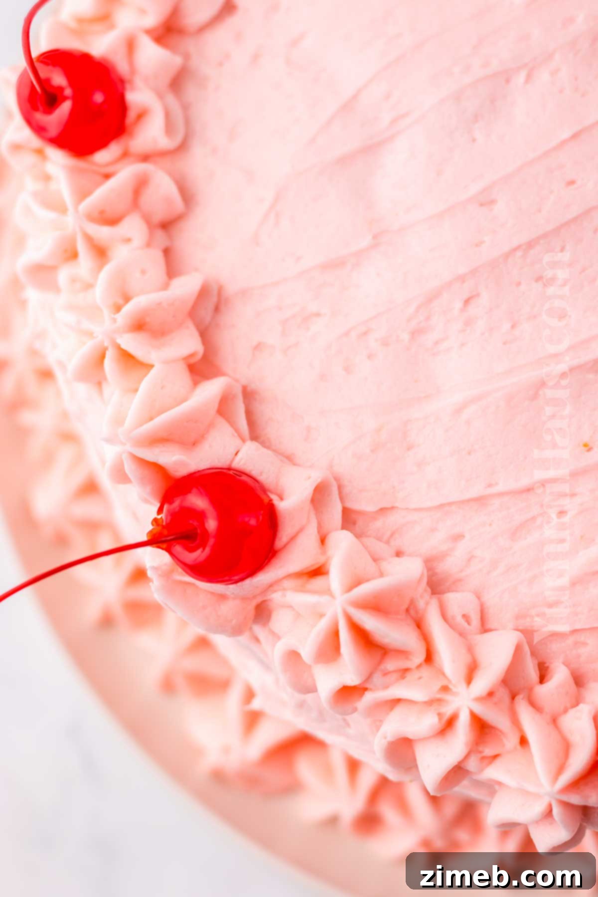 Cherry Confetti Cake 3 Sweet Cherry Chip Cake slices