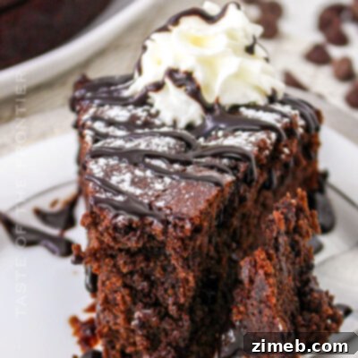 Cherry Confetti Cake 10 Chocolate Ricotta Cake