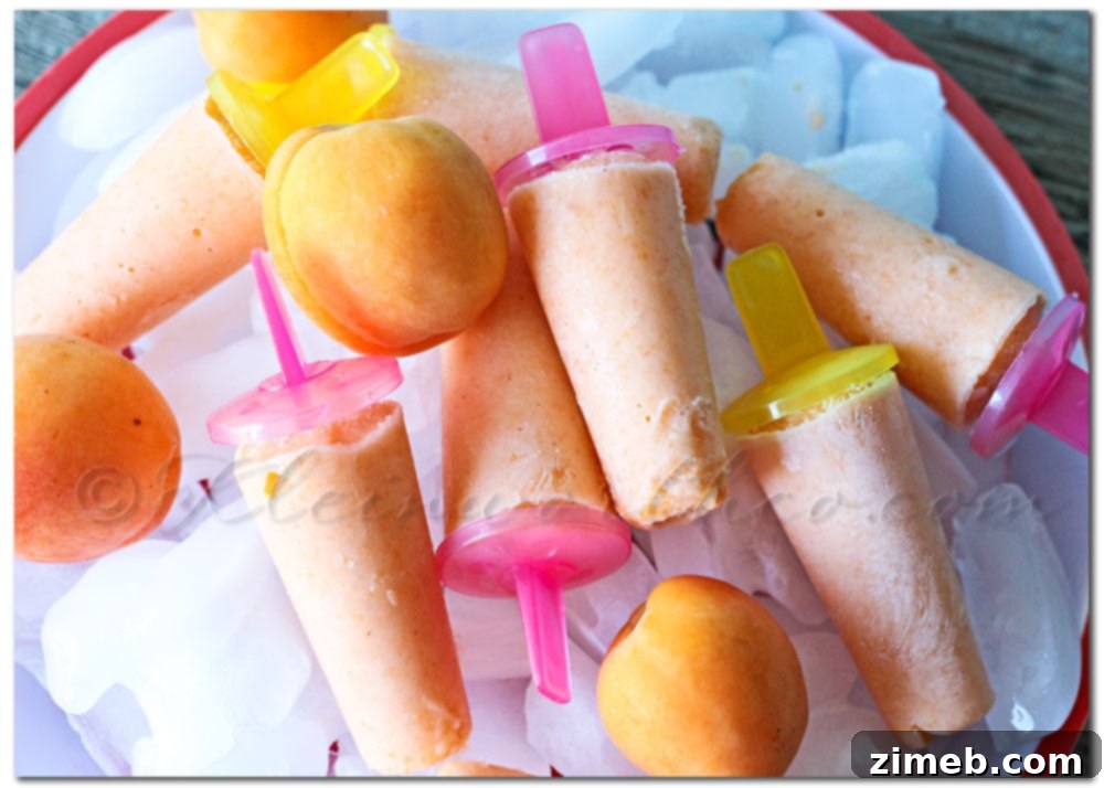 Golden Apricot Spice FroYo Delights 2 Delicious Spiced Apricot Fro Yo Pops ready to be enjoyed on a sunny day.