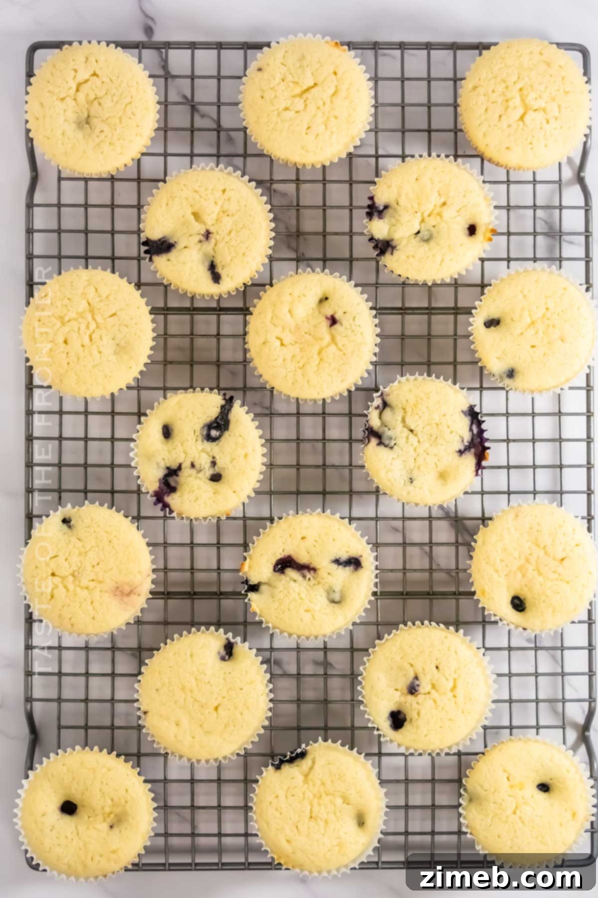 Zesty Blueberry Delight Cupcakes 7 baked and ready for frosting