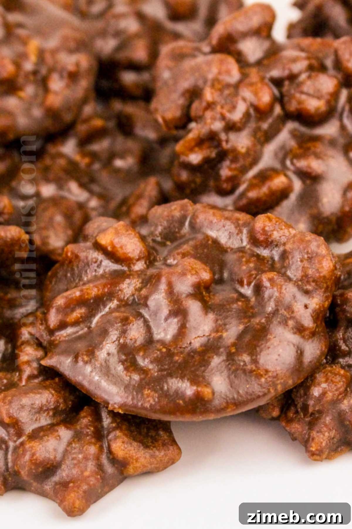 Chocolate Pralines