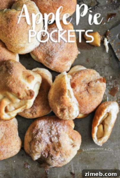 Individual French Apple Delights 11 Apple Pie Pockets