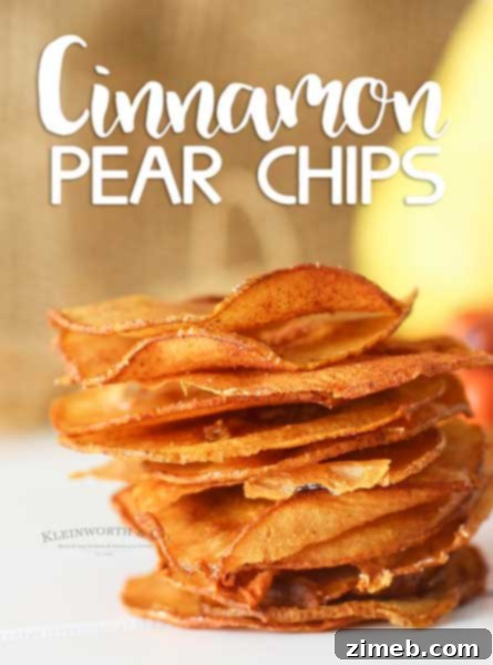 Individual French Apple Delights 14 Cinnamon Pear Chips