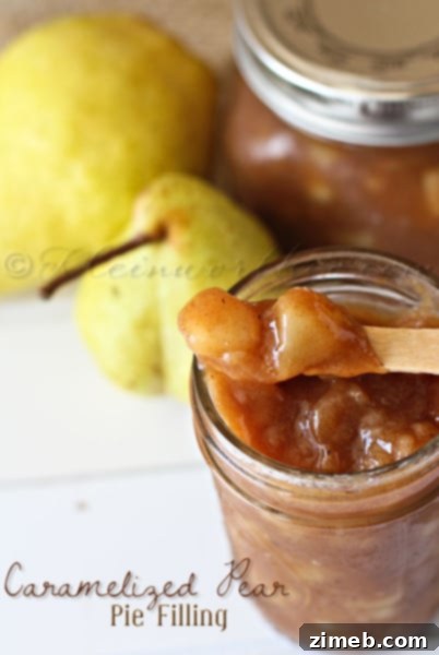 Individual French Apple Delights 18 Caramelized Pear Pie Filling