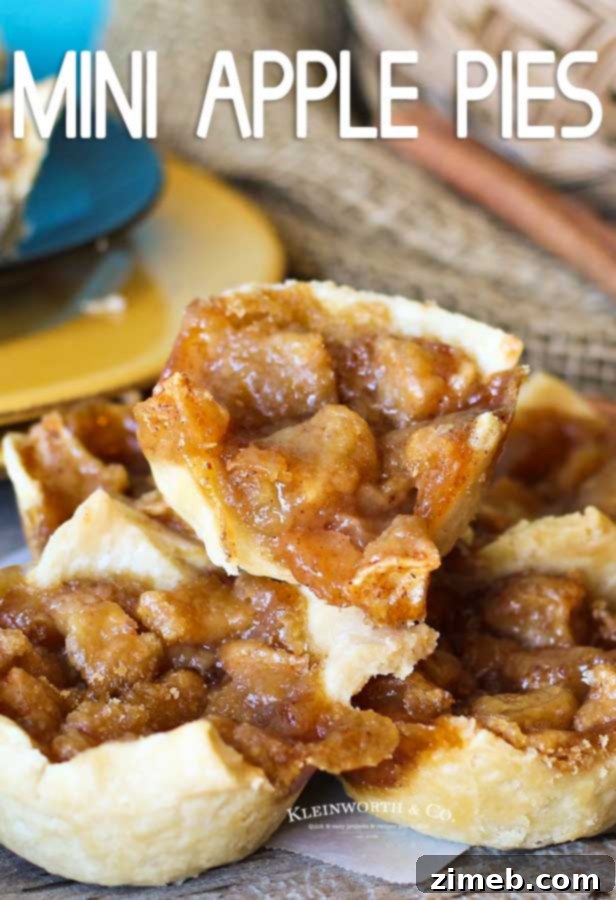 Individual French Apple Delights 7 Mini French Apple Pies