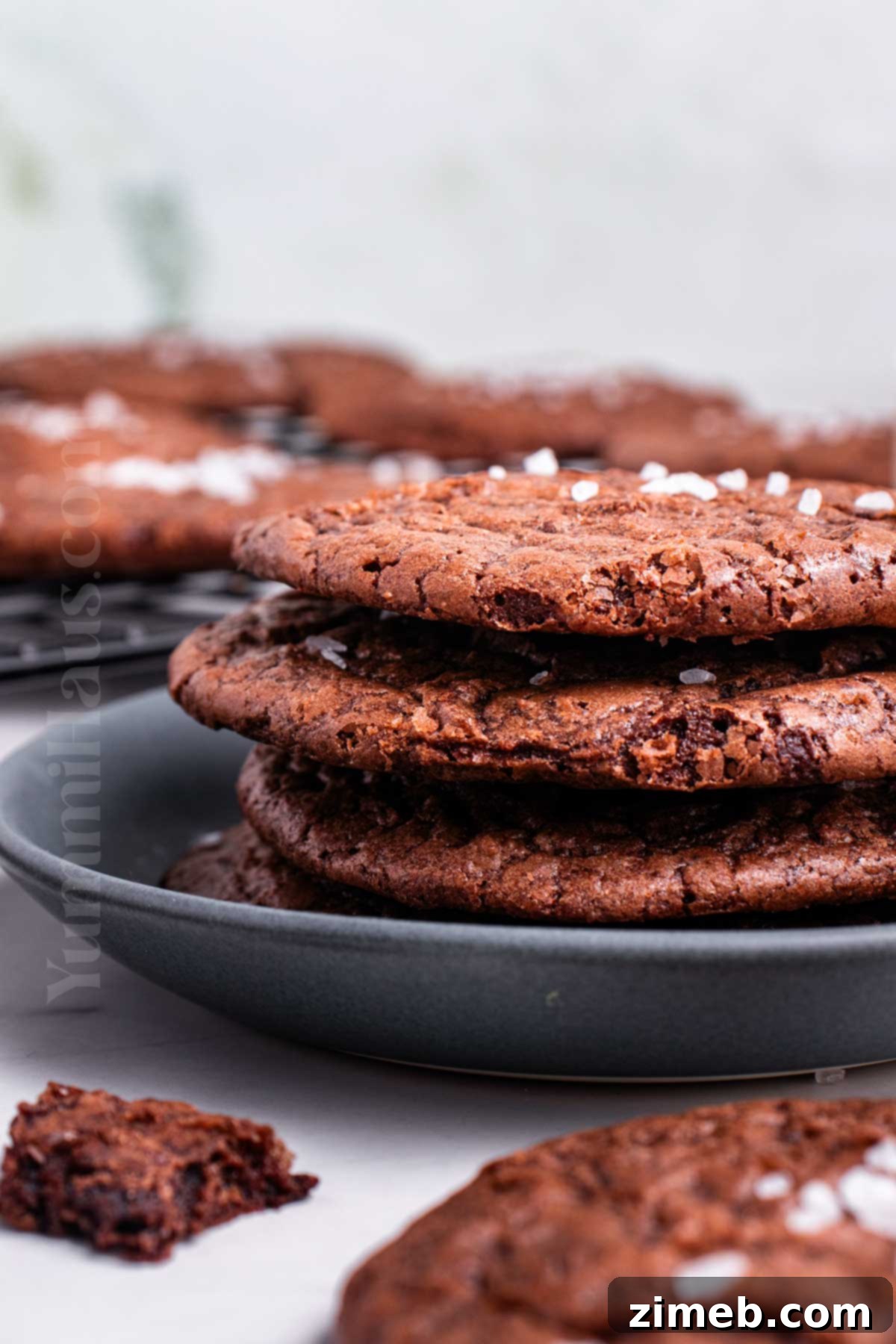 stack of chocolate cookies