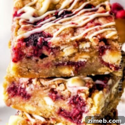 Double Chocolate White Chocolate Cookies 8 Raspberry White Chocolate Blondies