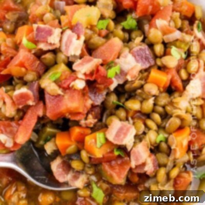 Hearty Bell Pepper and Rice Stew 12 Bacon and Lentil Soup