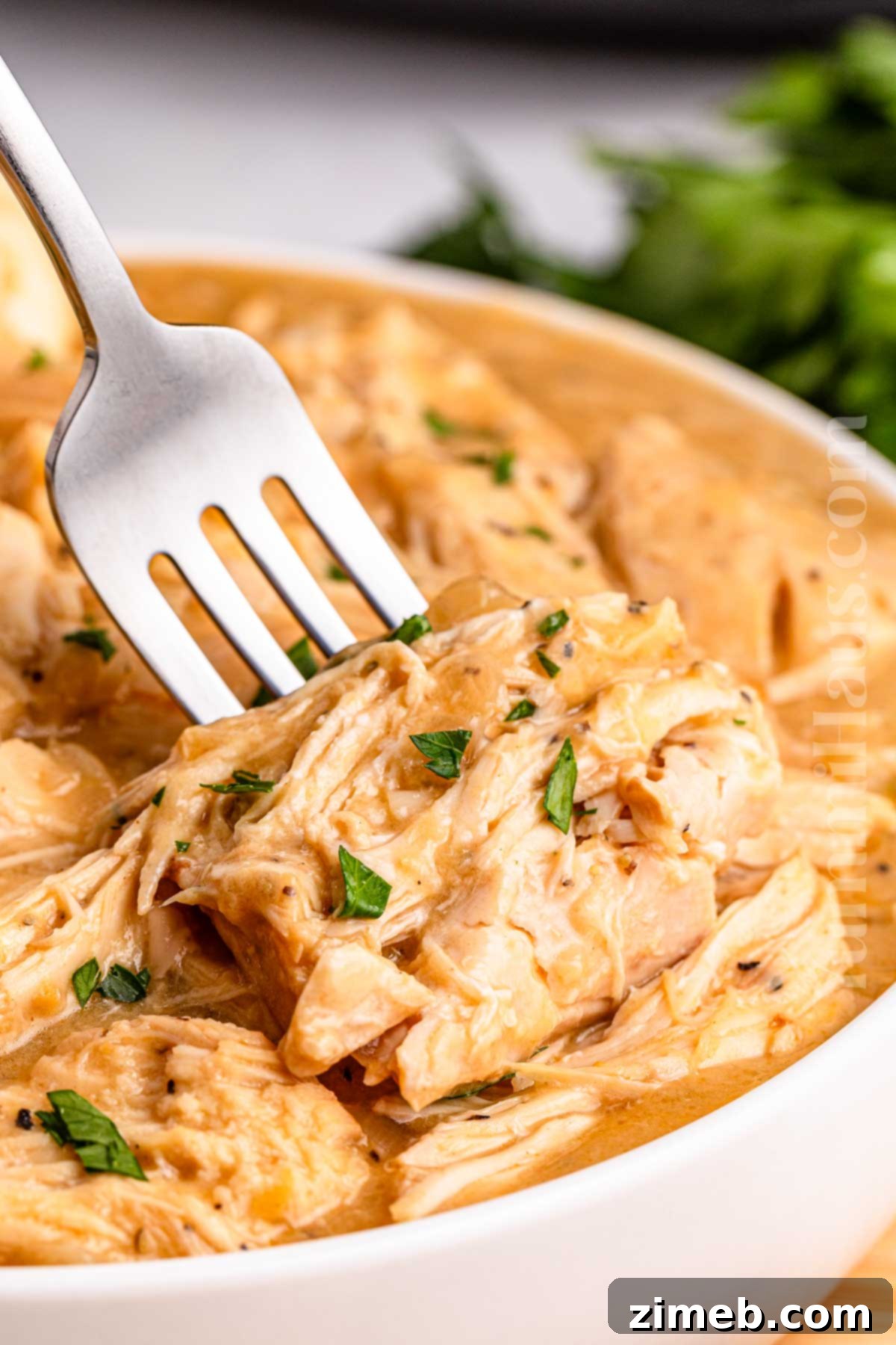Cozy Comfort Crockpot Chicken and Gravy 15 Chicken dinner in the slow cooker