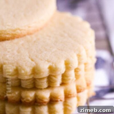 Perfect Little Sugar Cookies 16 Small Batch Sugar Cookies