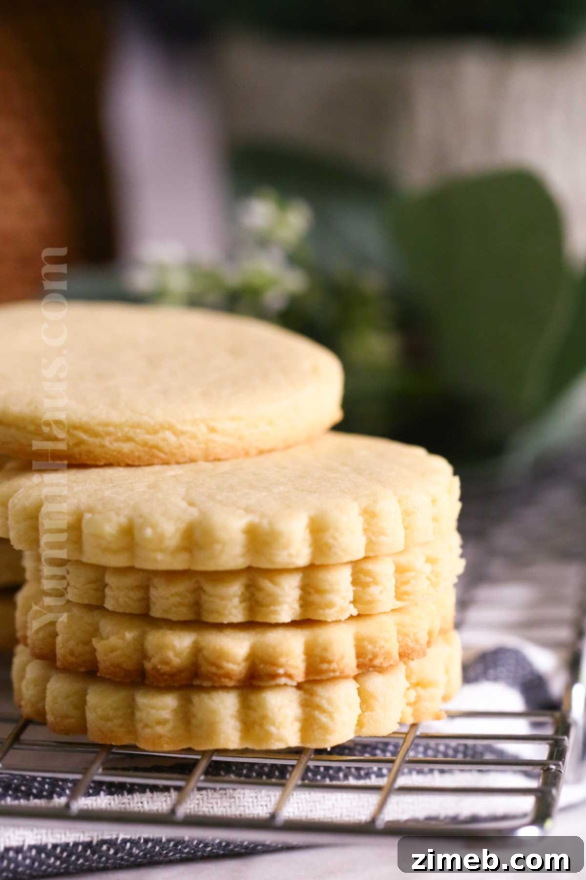 Perfect Little Sugar Cookies 8 buttery cookie stack