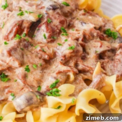 Slow Cooker Beef Stroganoff