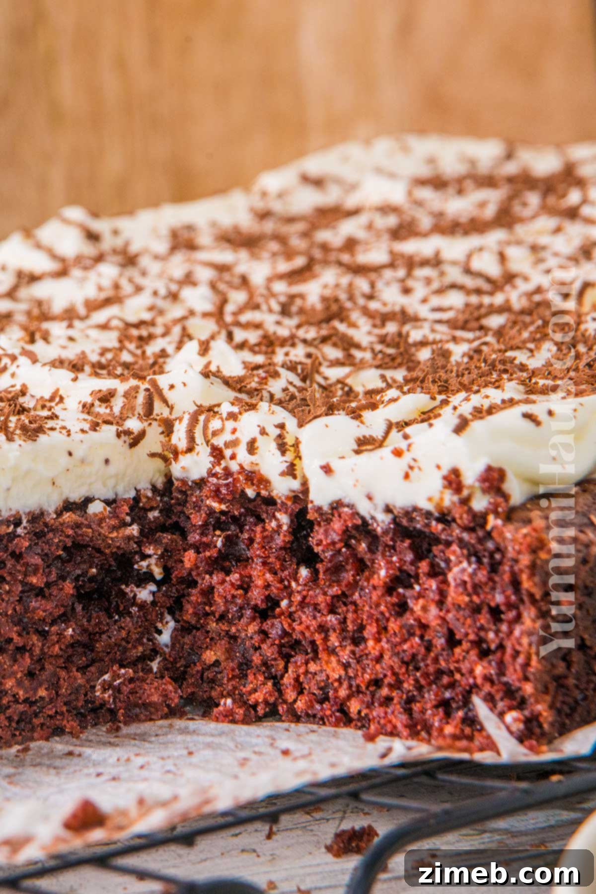 Rich Guinness Chocolate Stout Cake 3 Close-up of a slice of Guinness Sheet Cake, showcasing its moist texture and creamy white frosting.