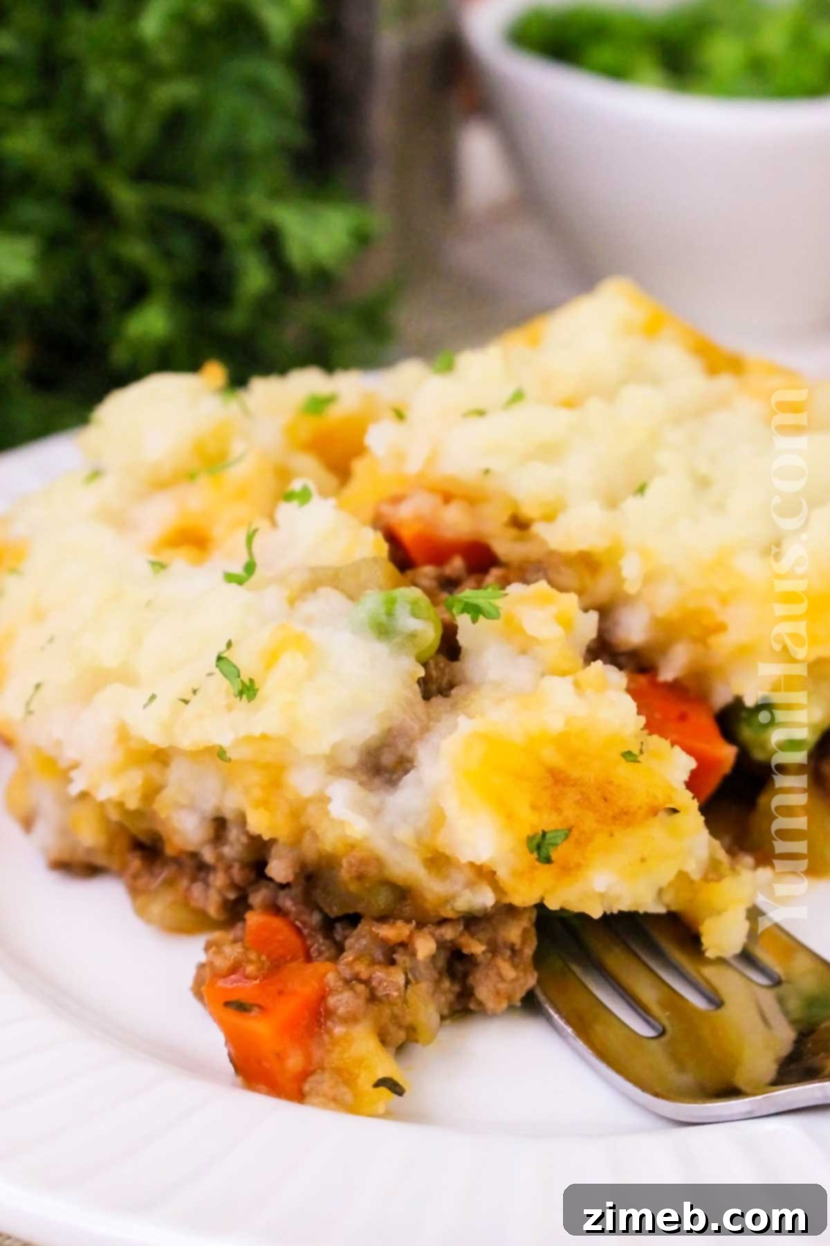 Hearty Irish Cottage Pie 3 Hearty St. Patrick's Day dinner featuring a golden-crusted Irish Cottage Pie