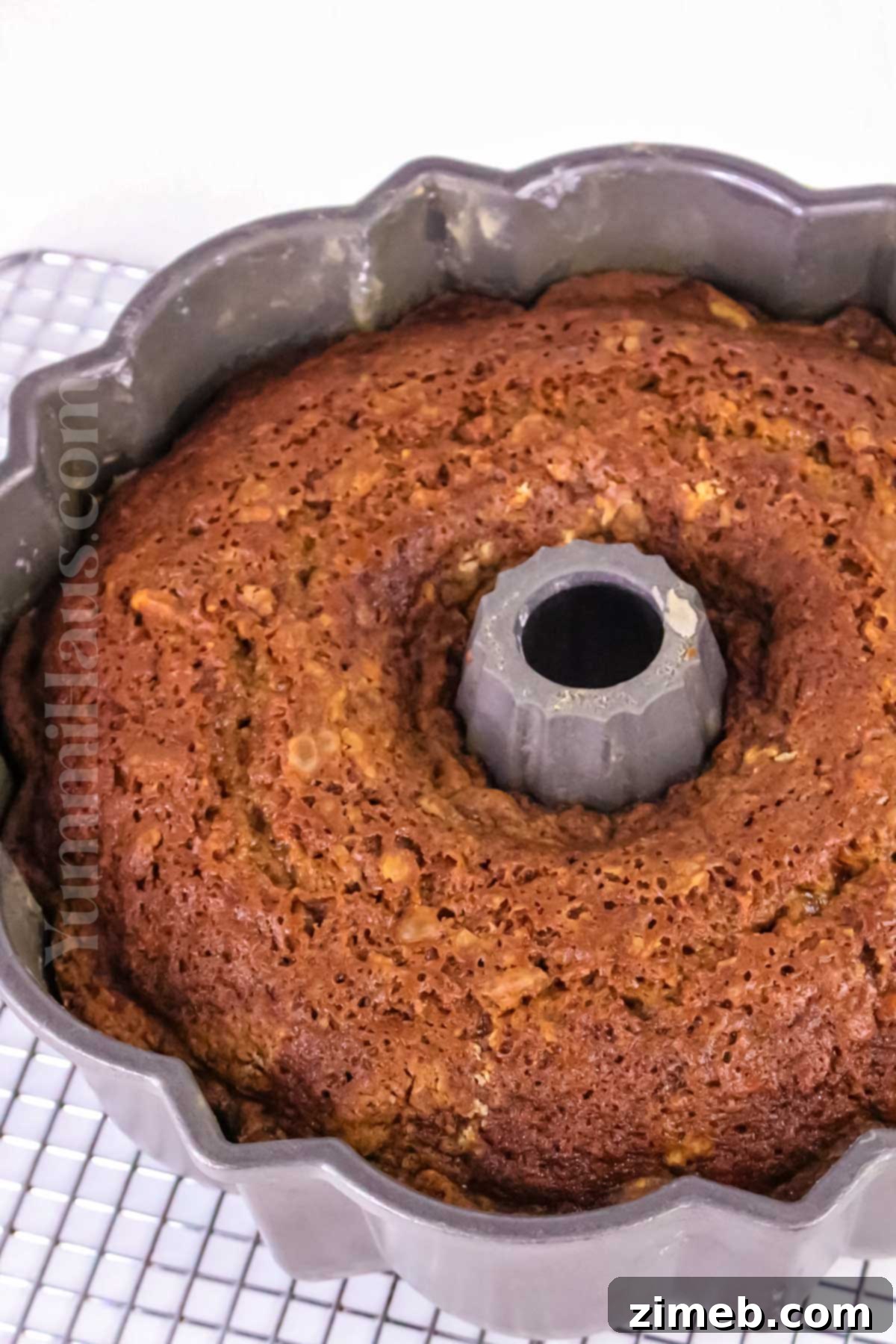 Rich Carrot Cake with Silken Cream Cheese Frosting 6 how to make Carrot Cake with Cream Cheese Icing